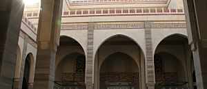 幸福內心禪 161 保護動物，你分清大小先後了嗎？ 成功就是要功成名就？到底什麼才是衡量成功的的真正標準呢？