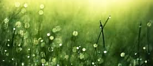 幸福內心禪 117 剛柔並濟的待人之道