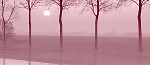 幸福內心禪 101 姻緣是天定的嗎？