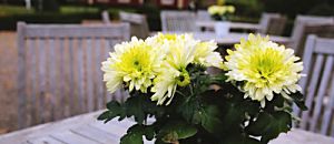 Talk 08 NLP來自潛意識的語言力量