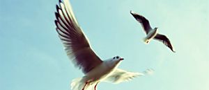 Talk 05 弱點當然可以克服，驚人的NLP！