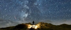 星空悄悄話95 寵物療育經驗談