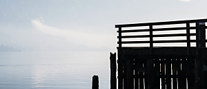 星空悄悄話92 我想變成鳥，所以跳起來