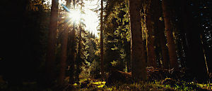 星空悄悄話91 在愛裡活著