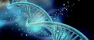 星空悄悄話72：東方靈乩之路