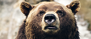 星空悄悄話52：陳俊欽醫師談《黑羊效應》