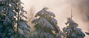 星空悄悄話 22 在印度遇見馬哈希