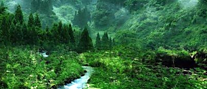 星空悄悄話 05 換個有錢人腦袋