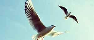 生活新鮮樂-049 給未來的旅行者：55個你最想知道關於旅行的事