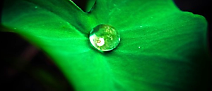 生活新鮮樂-044 晚兩秒，心自在