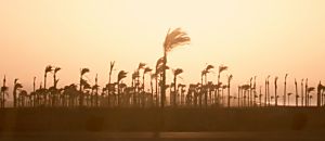 心悅幸福樂 99 美美的逆襲：H.H先生全新創作┼精選收錄，66萬網友爆笑按讚!