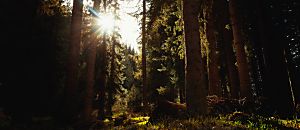 心悅幸福樂 82 領導禪：NBA最強總教頭親自傳授「無私」與「智慧」的魔力領導學