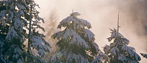 心悅幸福樂 44 創造自己的神聖典禮 療癒、轉化並榮耀你生命中每一個重要時刻！