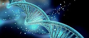 心悅幸福樂 40 Admeda 和 katsuc 談外星人訊息