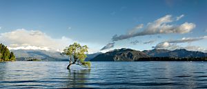 心悅幸福樂 37 奧修 心的14堂課 安一心專訪譯者蔡孟璇