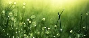 心悅幸福樂 20 宇色談靈驗！我在人間看見拜拜背後的秘密