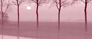 心悅幸福樂 19 LIFE樂團團長 吳柏毅 精彩分享