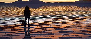 心悅幸福樂 6 平衡生活 讓你的生活少費一點力