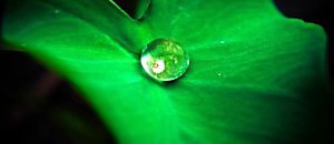 心悅幸福樂 5 靈魂的出生前計劃 你與生命最勇敢的約定 王理書感性分享