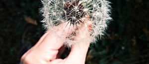 心悅幸福樂 3 相信愛情 相信自己 王慶玲專訪