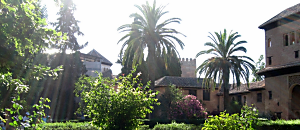 宇色看世界133-宇色看世界-宇色鬼物語-恐佈日本自殺盛地-青木原(下)