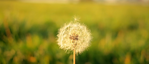 宇色心養生─125─凝視死亡：一位外科醫師對衰老與死亡的思索