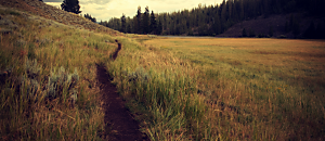 28宇色心養生 【好書推薦】破壞身體的十大食品添加物