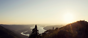 Net 新地球轉譯器 81