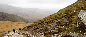 Net 新地球轉譯器 76