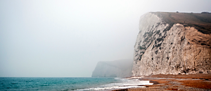 Net 新地球轉譯器 61