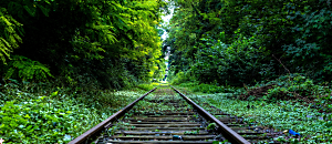 Net 新地球轉譯器 15 天使靈性諮商﹣重燃熱情．尋回天命