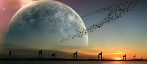 宇色看世界129-宇色看世界之宇色鬼物語-恐佈日本自殺盛地-青木原(上)