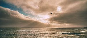 愛與微細身(上)