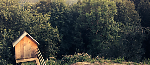 《光之手》─譯者呂忻潔談自我療癒與靈修