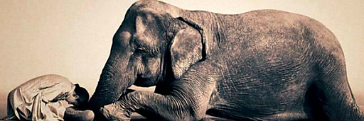 宇色看世界 173 佛教文化之美-佛教傳承知多少