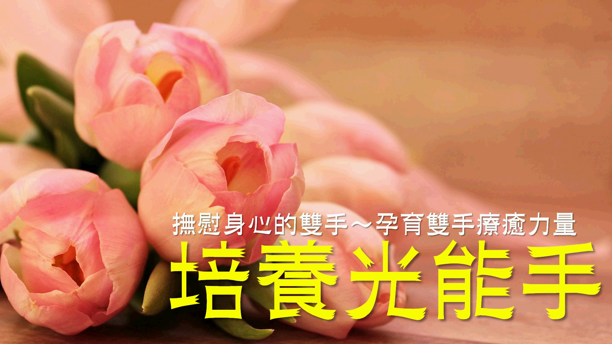 昭儀幸福道 撫慰身心的雙手～孕育您的雙手療癒力量─培養光能手
