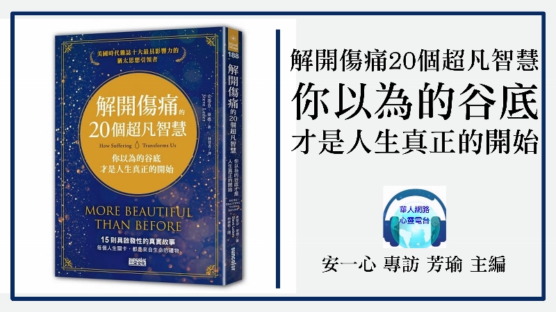 心悅幸福樂 252 解開傷痛的20個超凡智慧：你以為的谷底才是人生真正的開始