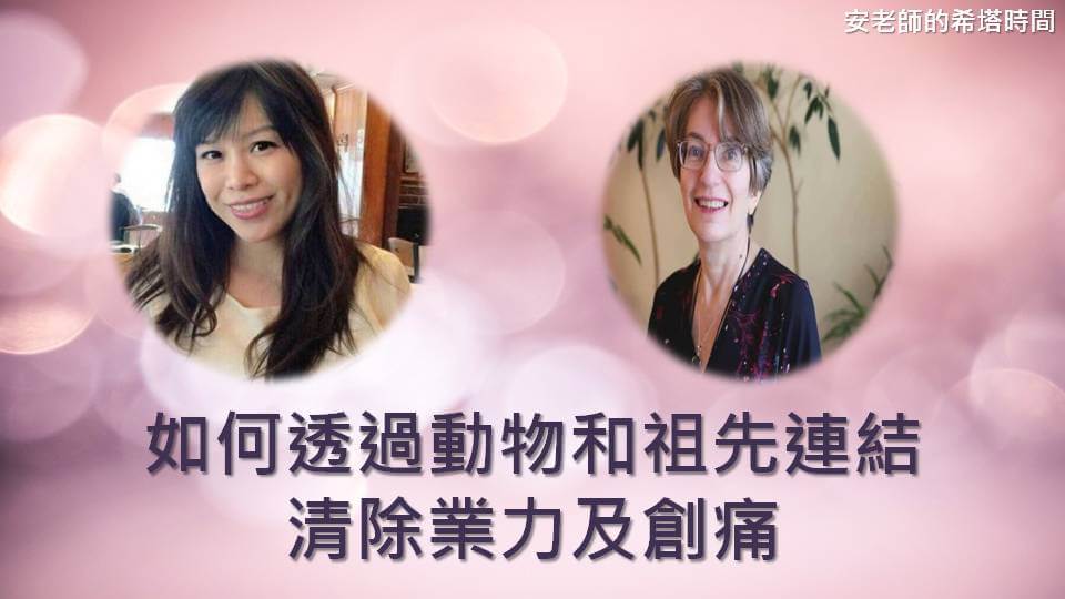 安老師的希塔時間-如何透過動物和祖先連結清除業力及創痛(上)